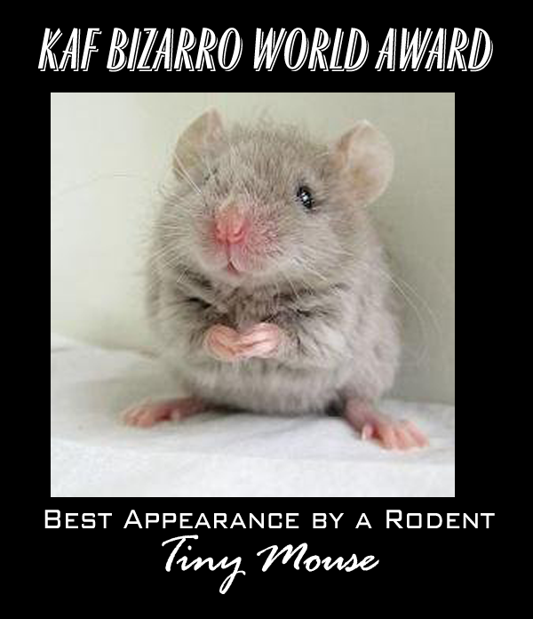 Tiny Mouse